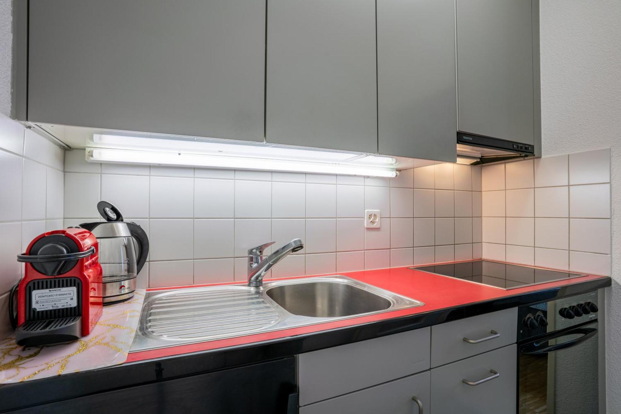 Apartment Bright Flat With Workspace Near Downton Basel