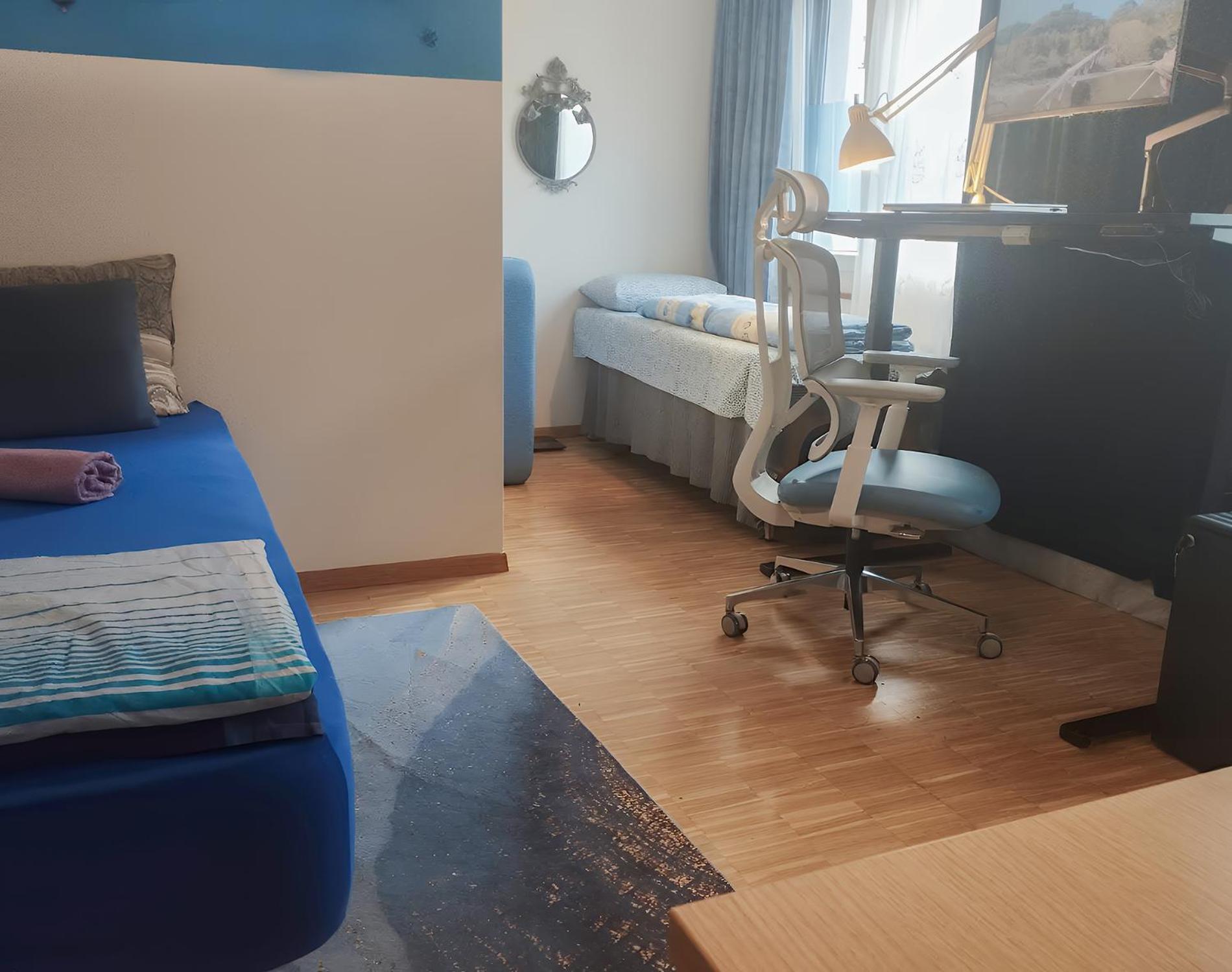 Bright Flat With Workspace Near Downton Apartment Basel